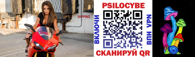 Галлюциногенные грибы Psilocybine cubensis  Красавино 