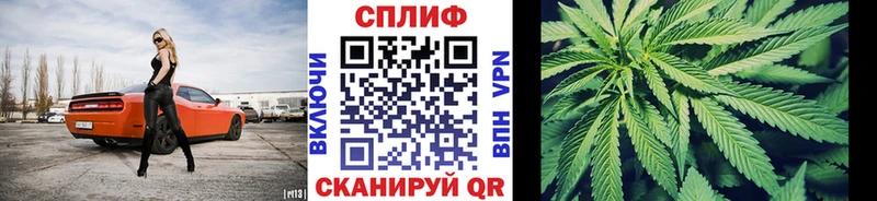 Шишки марихуана марихуана  Красавино 